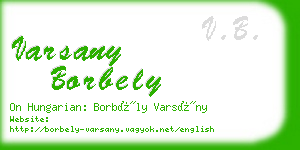 varsany borbely business card
